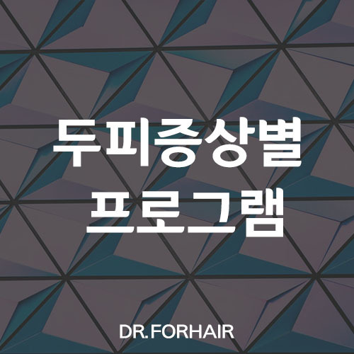 두피프로그램
