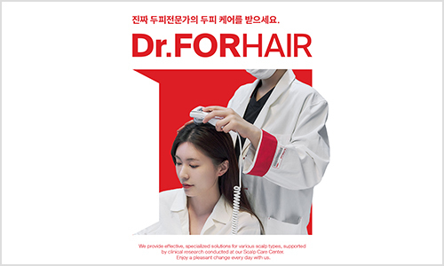 브랜드 안내